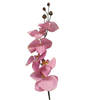Bellatio Design Kunstbloem Orchidee Milan - roze - 78 cm - losse steel - kunst zijdebloem - Kunstbloemen