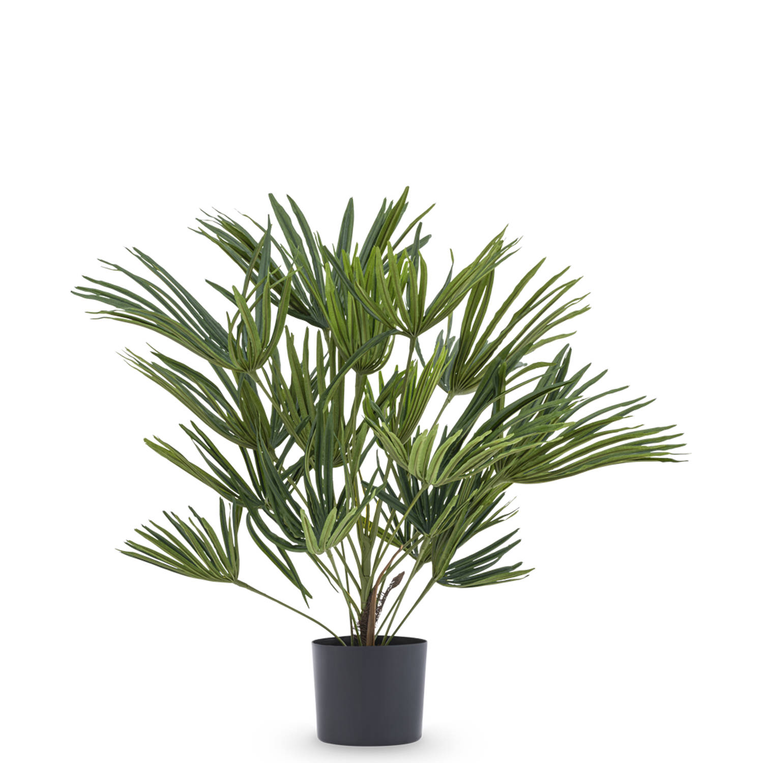 Hoyz Greenery - Kunstplant Baby Palm Fan in pot 50 cm