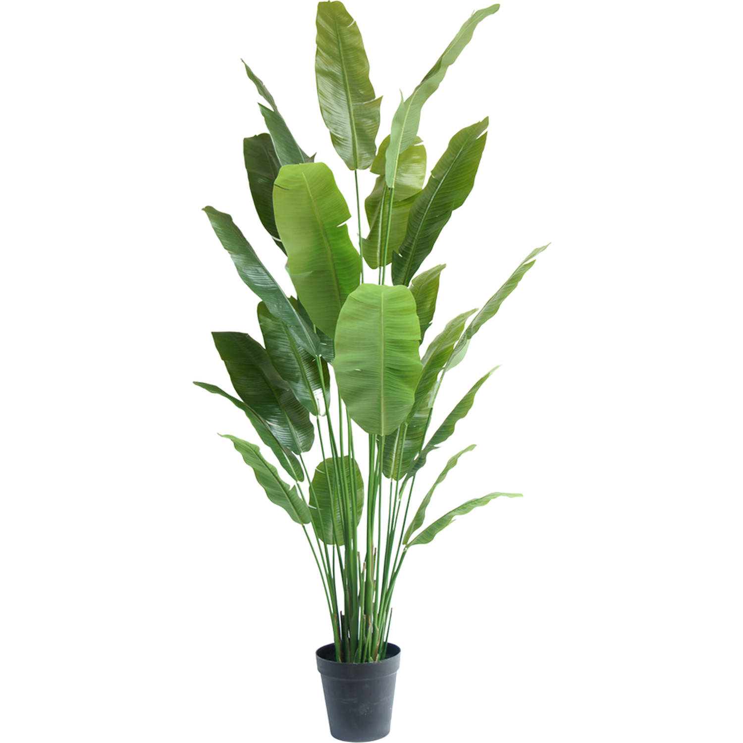 Kunstplant Strelitzia Nicolai 240 cm