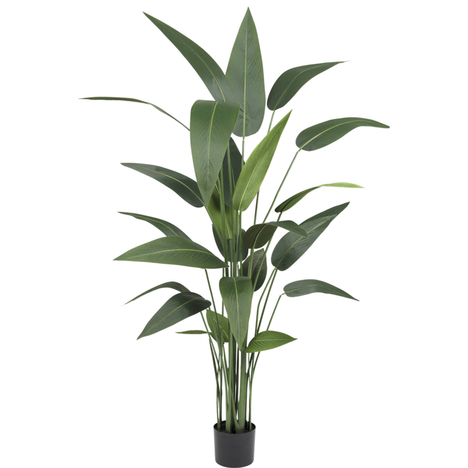 Kunstplant Heliconia 150 cm