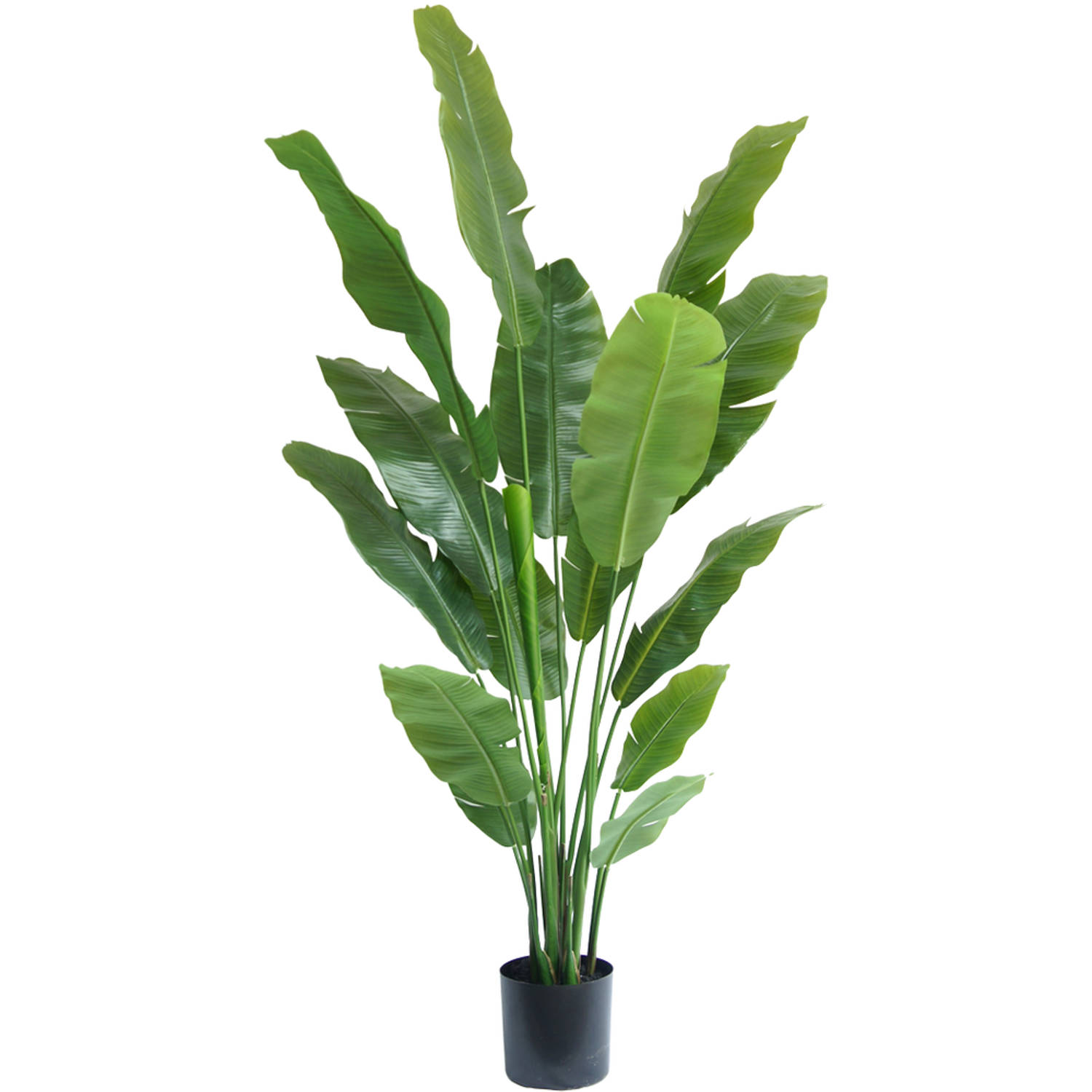 Kunstplant Strelitzia Nicolai 180 cm