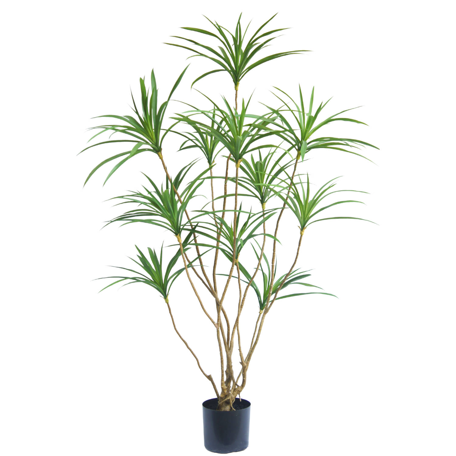 Kunstplant Dracaena 150 cm