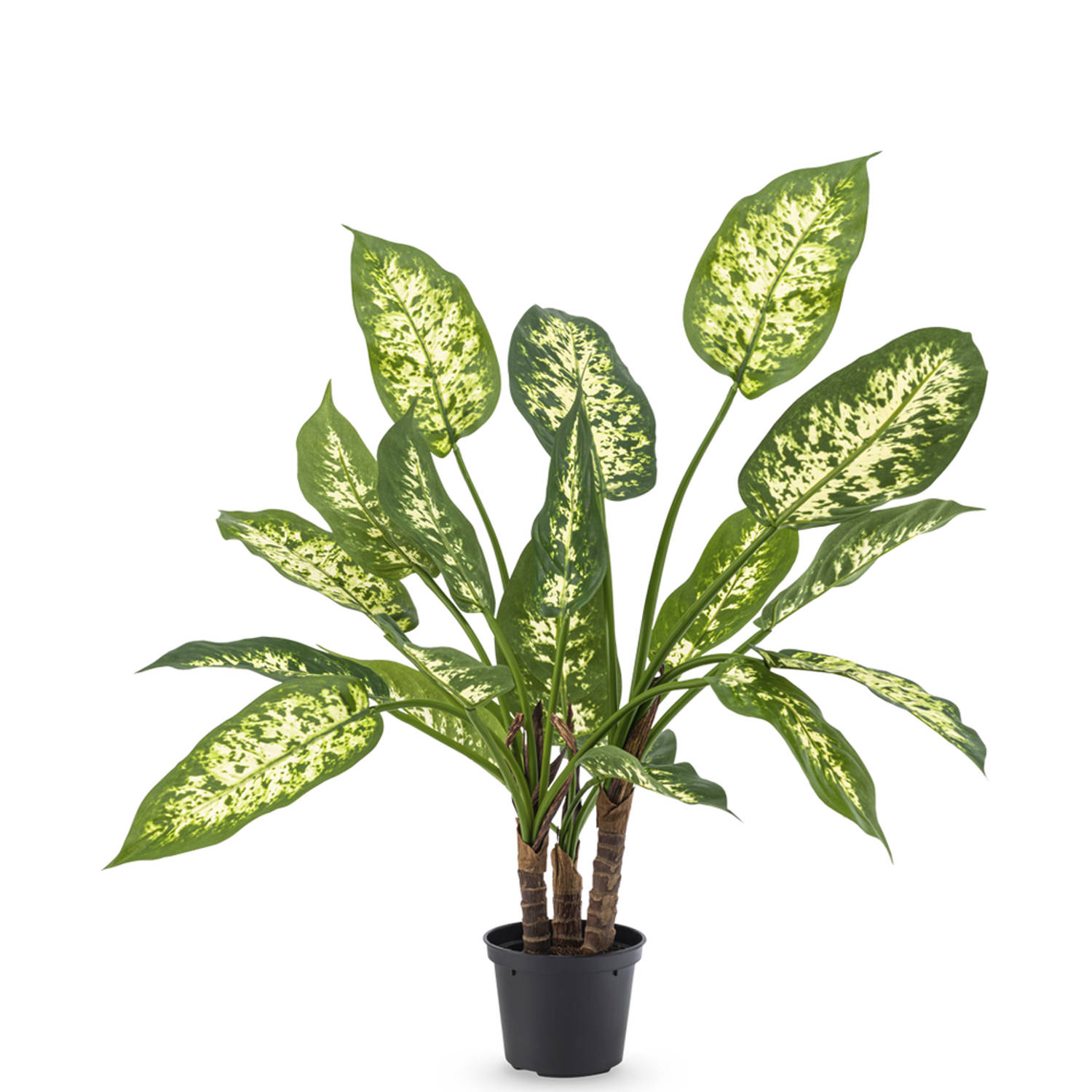 Kunstplant Dieffenbachia 40 cm