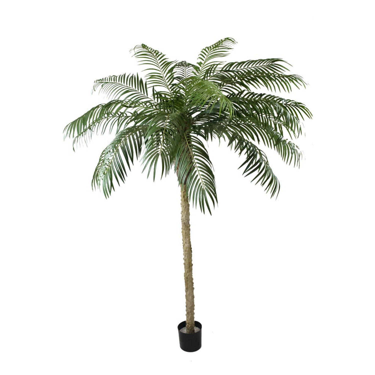 Kunstpalm Phoenix De Luxe 250 cm