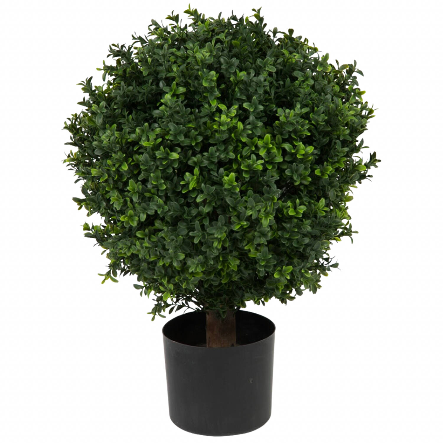 Hoyz Greenery - Buxus Kunstbal Op Stam Romeinse Stijl 65cm