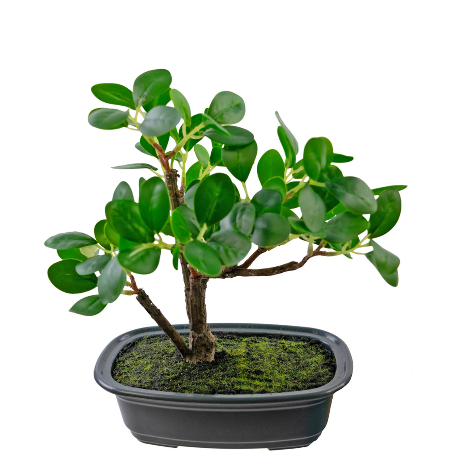 Kunstplant Bonsai Ficus 20 cm