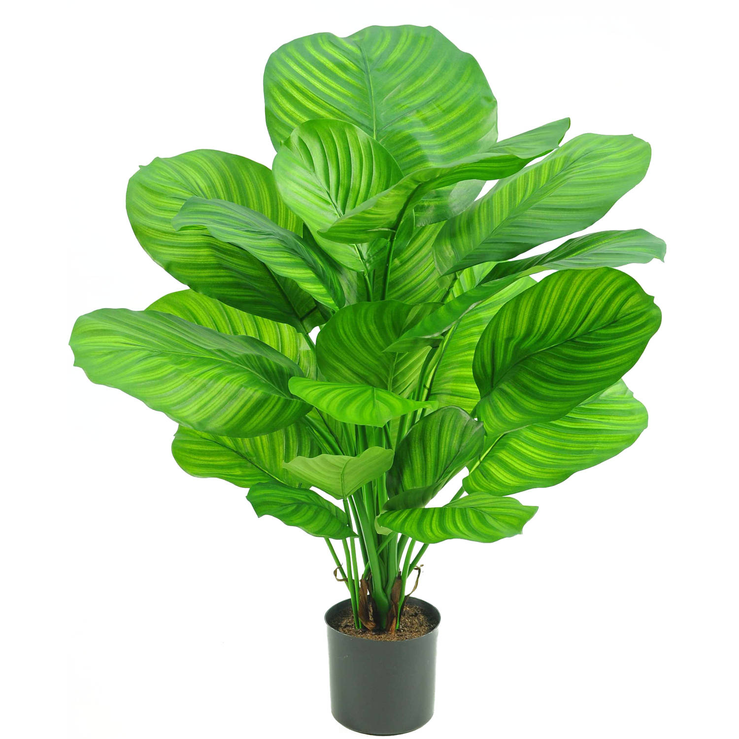 Kunstplant Calathea 72 cm