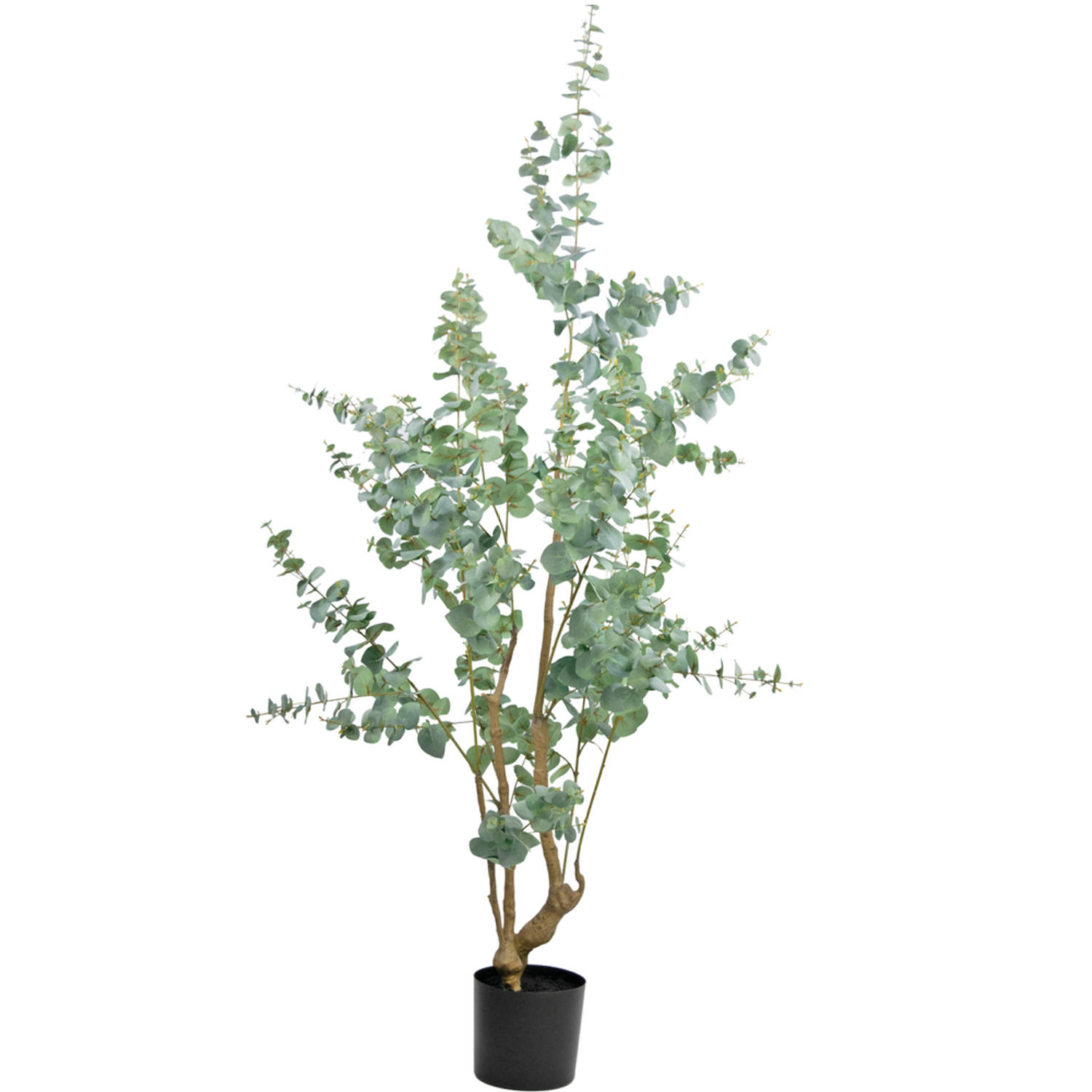 Kunstplant Eucalyptus 180 cm