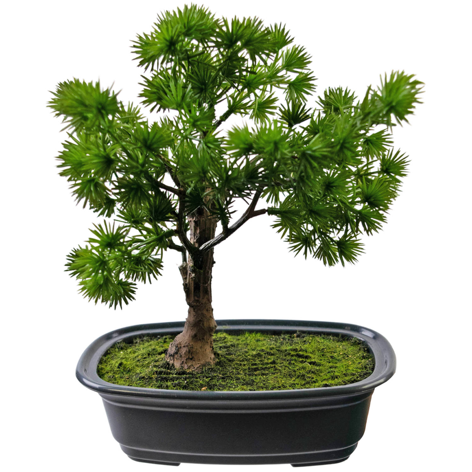 Kunstplant Bonsai Juniper 20 cm