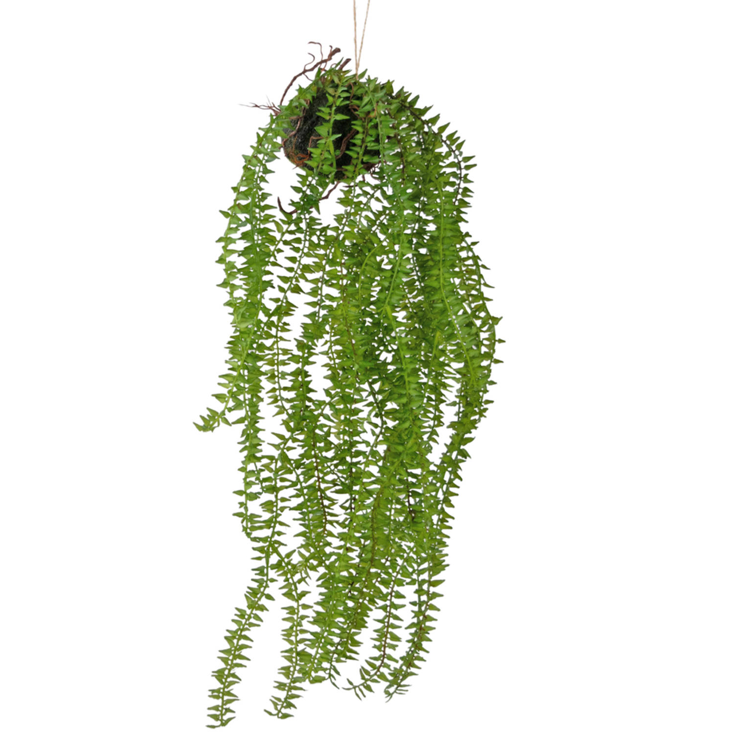 Hoyz Greenery - Kunst hangplant Phlegmariurus bal 55 cm