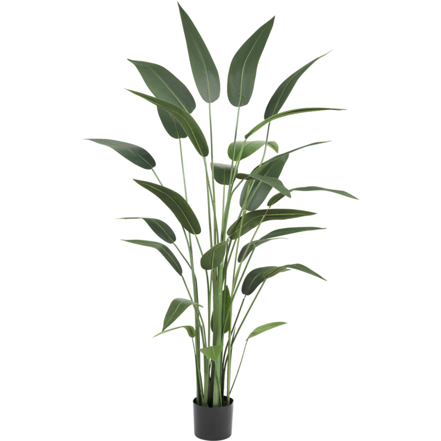 Hoyz Greenery - Kunstplant Heliconia 180 cm