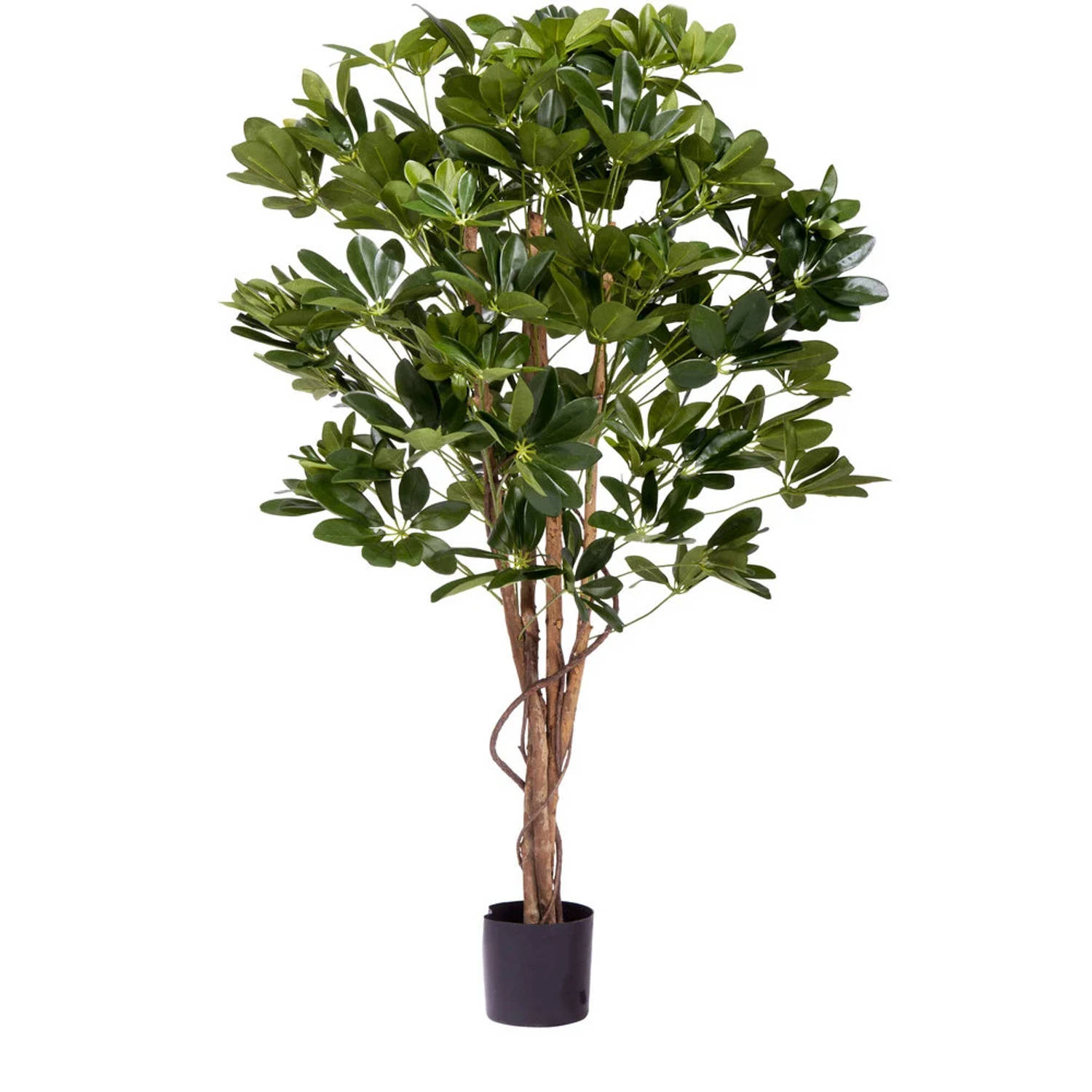 Hoyz Greenery - Kunstplant Schefflera 120 cm.