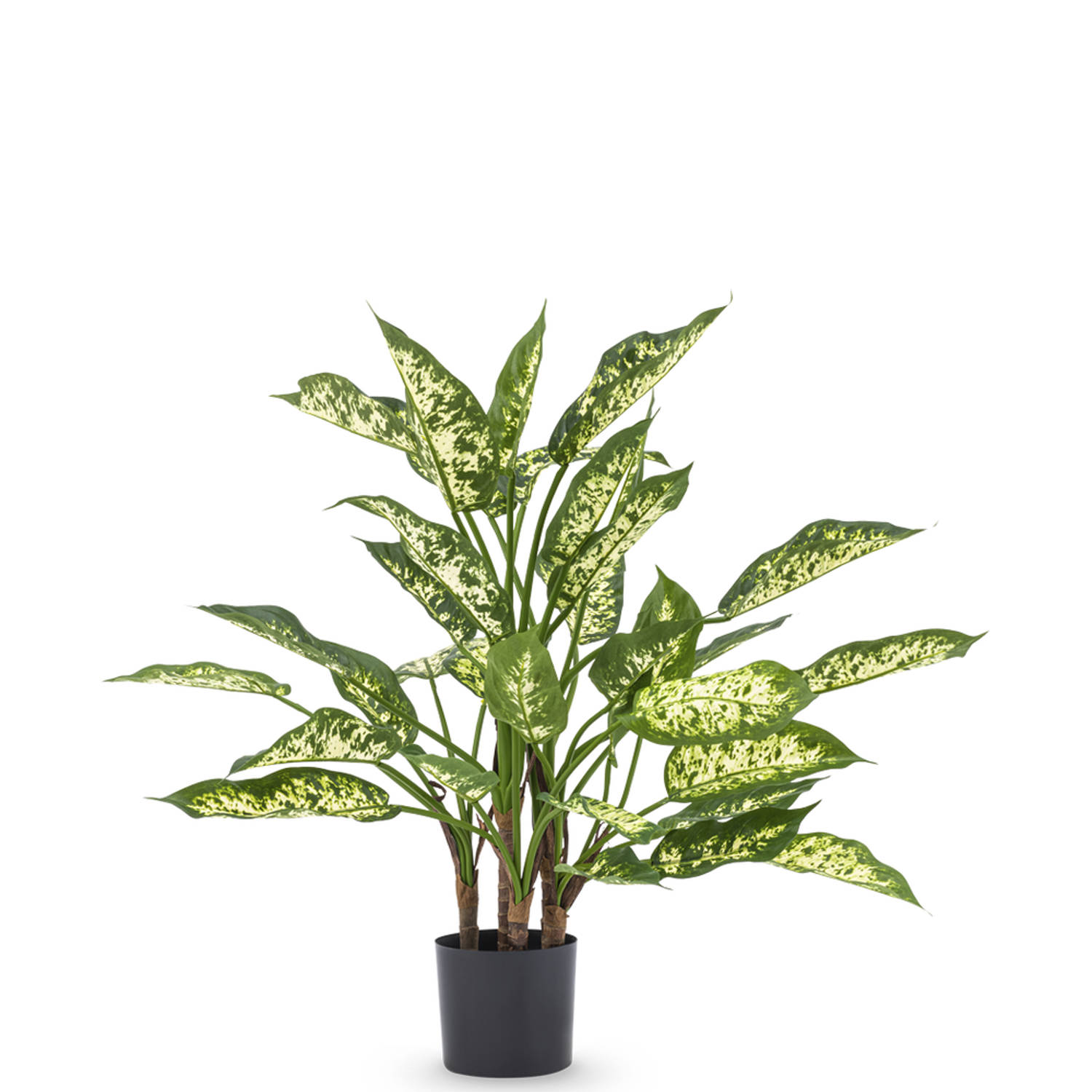 Hoyz Greenery - Kunstplant Dieffenbachia 68 cm