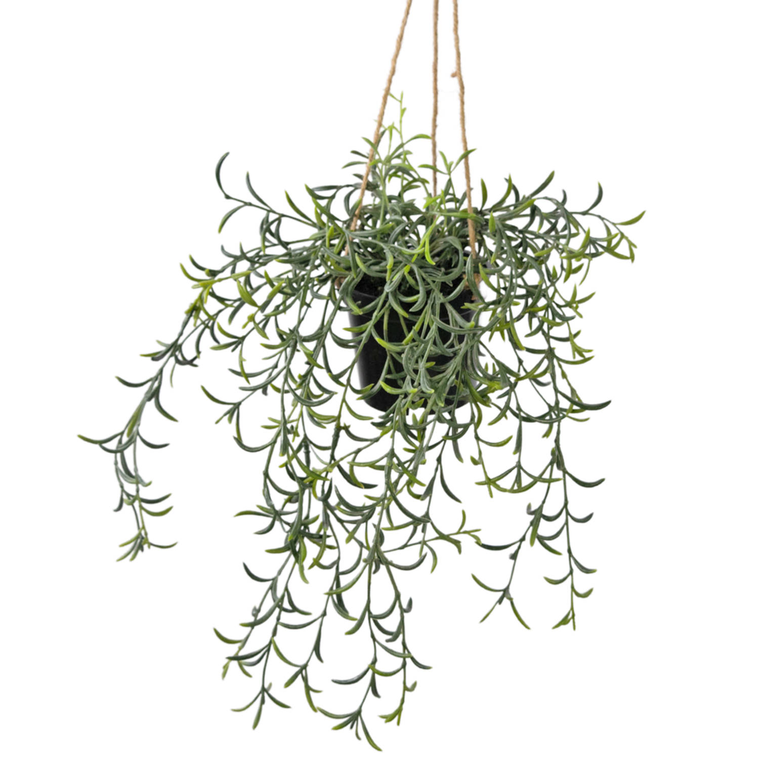 Kunst hangplant Senecio met pot 35 cm