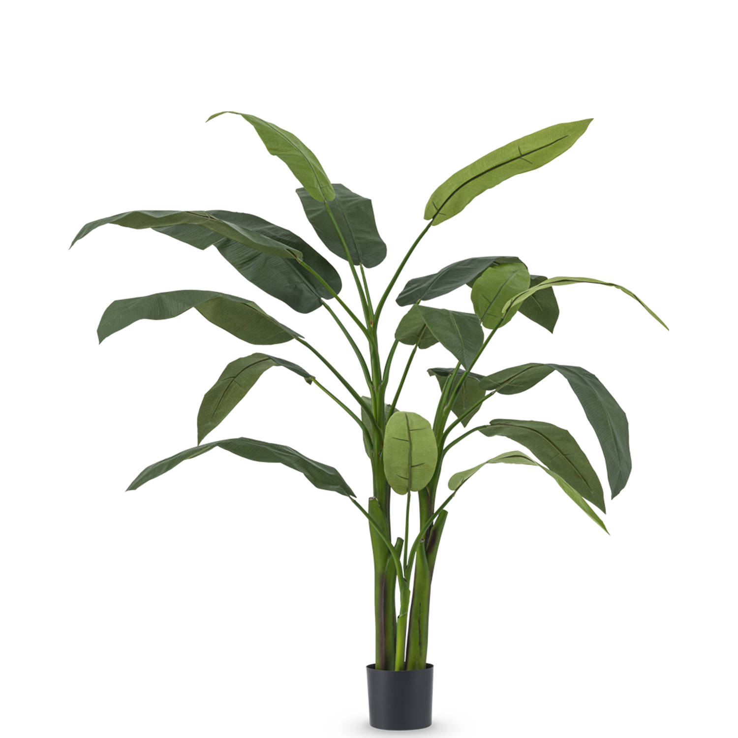 Kunstplant Heliconia Deluxe 175 cm zijde