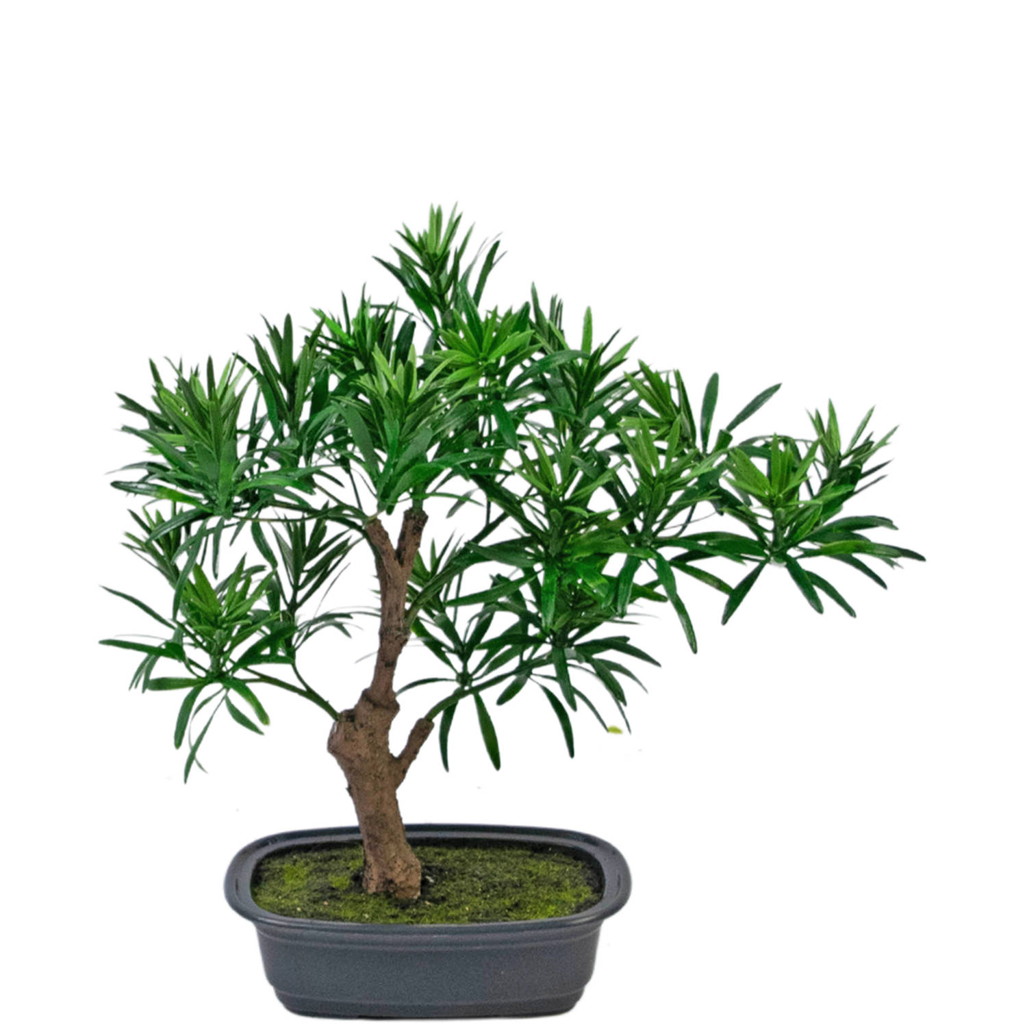 Hoyz Greenery - Kunstplant Bonsai Podocarpus 30 cm