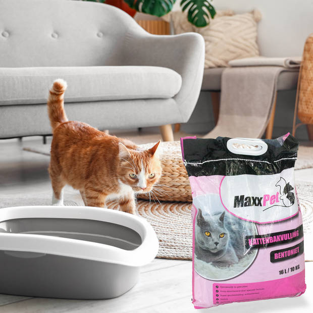 MaxxPet Kattenbakvulling - Babypoeder - Lowdust Klontvormend grove korrel - 16 Liter