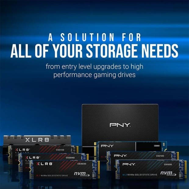 Pny - Cs1030 - Ssd - 500 Gb - M.2 2280 - M280Cs1030-500-Rb