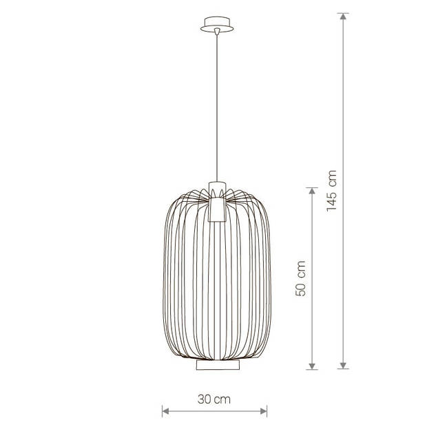 Nowodvorski Hanglamp Cage Ø 30 cm zwart