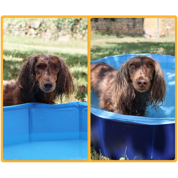 Frummel Honden Zwembad - Waterpret Opzetzwembad Huisdier - Blauw - 80 x 20cm - Opvouwbaar