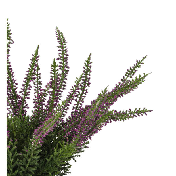 Hoyz Greenery - Kunstplant Erica in pot 30 cm