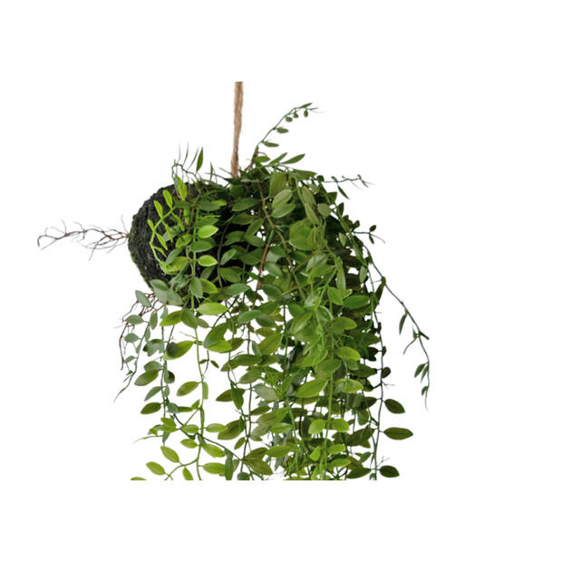 Hoyz Greenery - Kunst hangplant Pumila bal 30 cm