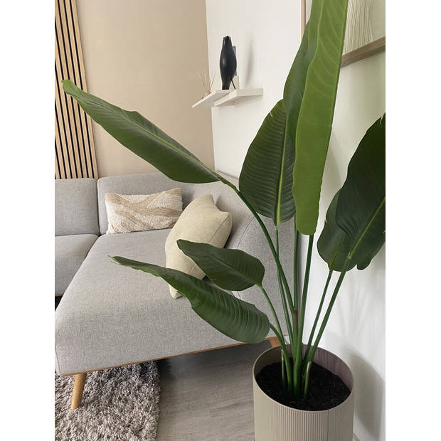 Hoyz Greenery - Kunstplant Strelitzia 120 cm