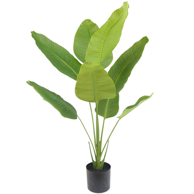 Hoyz Greenery - Kunstplant Strelitzia 120 cm