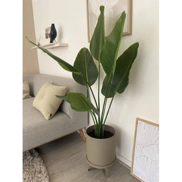 Hoyz Greenery - Kunstplant Strelitzia 120 cm