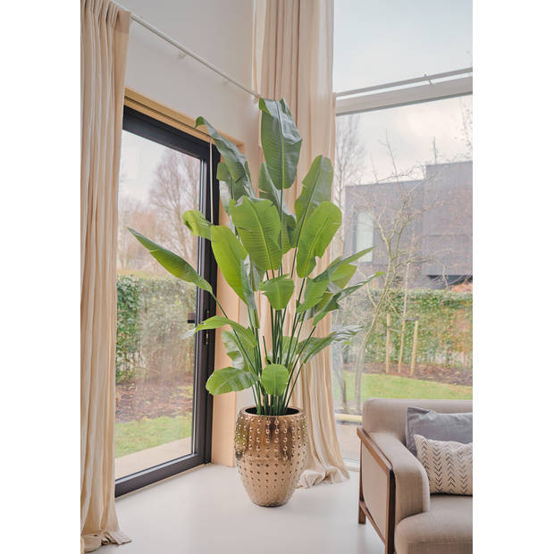 Hoyz Greenery - Kunstplant Strelitzia Nicolai 240 cm