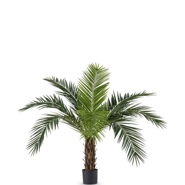 Hoyz Greenery - Kunstpalm Phoenix Canarie 160 cm