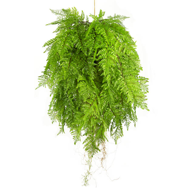 Hoyz Greenery - Kunst hangplant Varen met wortels d80 cm met hangsysteem