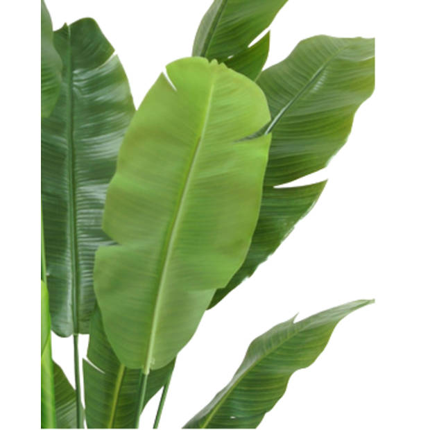 Hoyz Greenery - Kunstplant Strelitzia Nicolai 180 cm