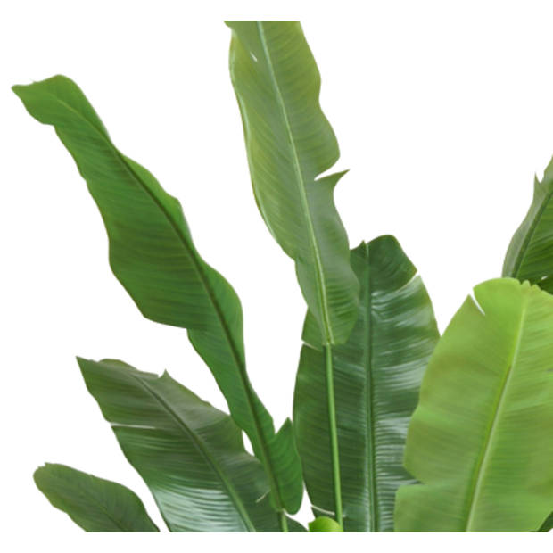 Hoyz Greenery - Kunstplant Strelitzia Nicolai 180 cm