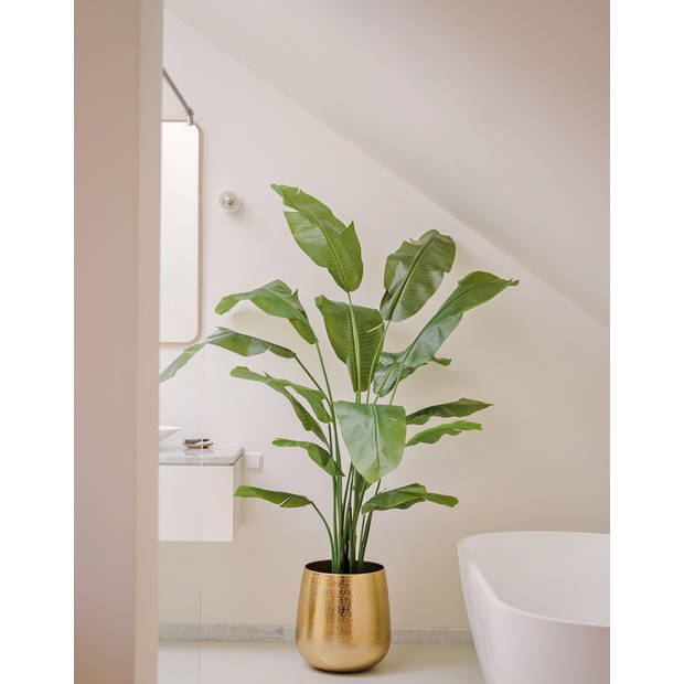 Hoyz Greenery - Kunstplant Strelitzia Nicolai 180 cm