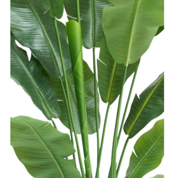 Hoyz Greenery - Kunstplant Strelitzia Nicolai 180 cm