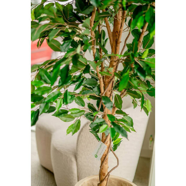 Hoyz Greenery - Kunstplant Ficus Groen 180 cm