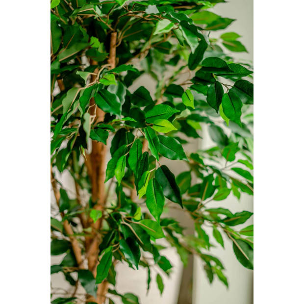 Hoyz Greenery - Kunstplant Ficus Groen 180 cm