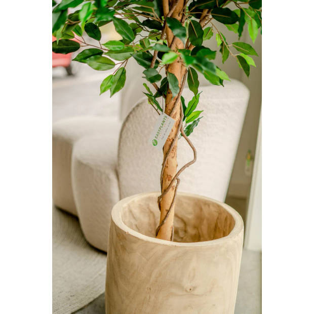 Hoyz Greenery - Kunstplant Ficus Groen 180 cm