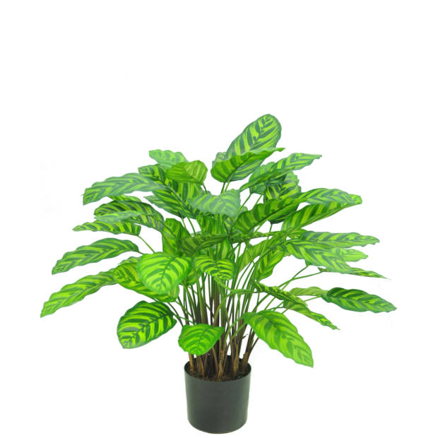 Hoyz Greenery - Kunstplant Calathea Makoyana 75 cm
