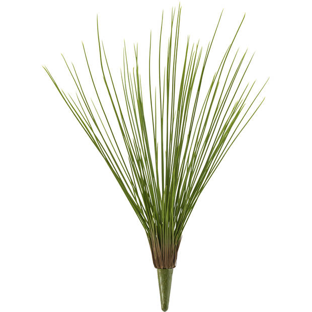 Hoyz Greenery - Kunstgras Royal Grass 60 cm