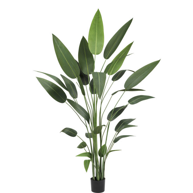 Hoyz Greenery - Kunstplant Heliconia 210 cm