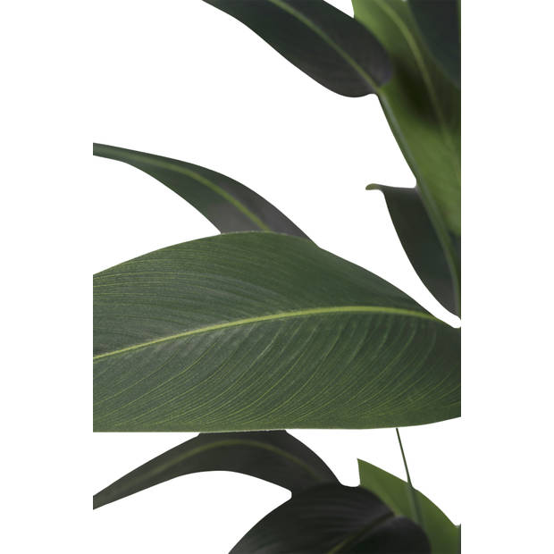 Hoyz Greenery - Kunstplant Heliconia 210 cm