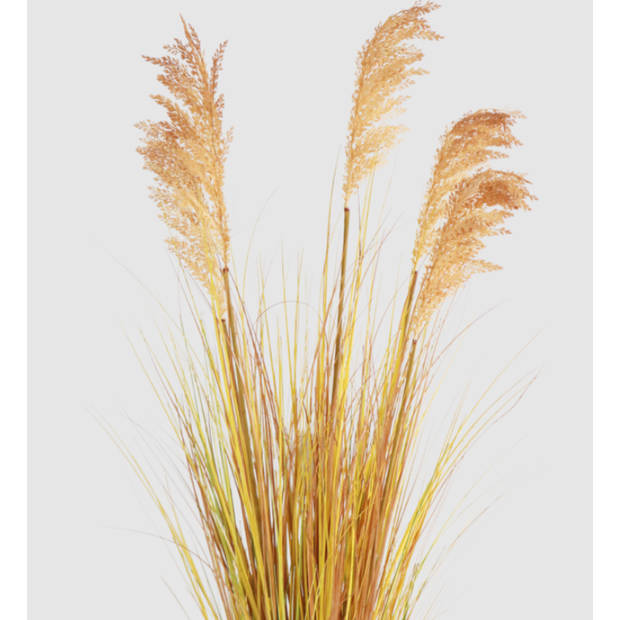 Hoyz Greenery - Kunst Grasplant Sorghum 110 cm