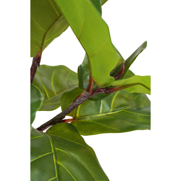 Hoyz Greenery - Kunstplant Ficus Tabaksplant 180 cm