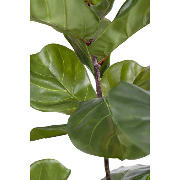 Hoyz Greenery - Kunstplant Ficus Tabaksplant 180 cm