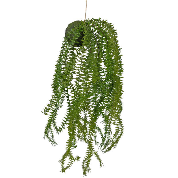 Hoyz Greenery - Kunst hangplant Phlegmariurus bal 50 cm