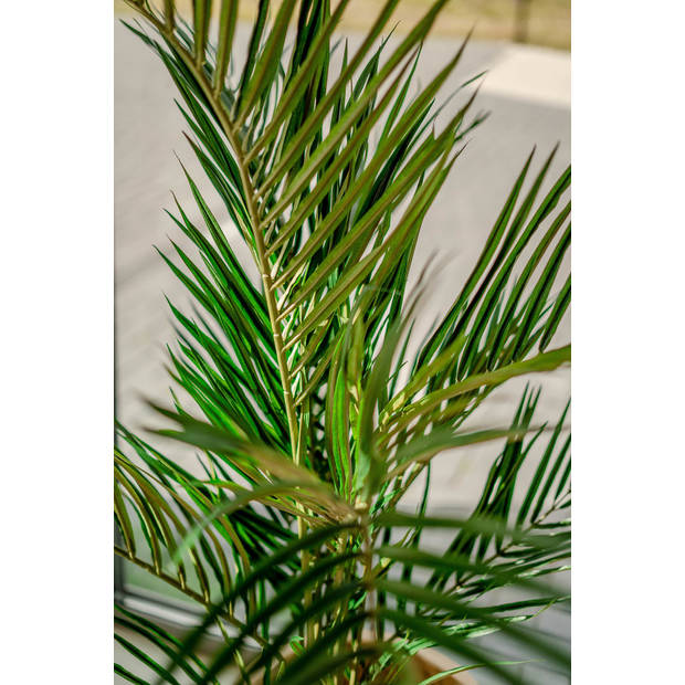 Hoyz Greenery - Kunstpalm Areca 150 cm