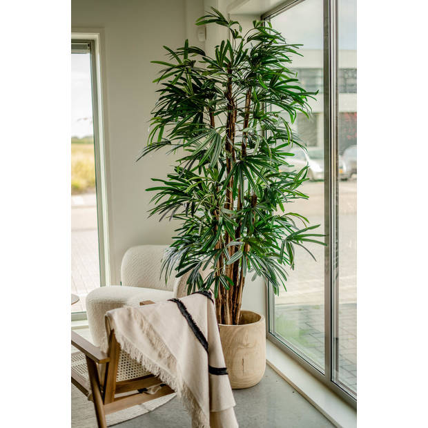 Hoyz Greenery - Lady Kunstpalm 210 cm