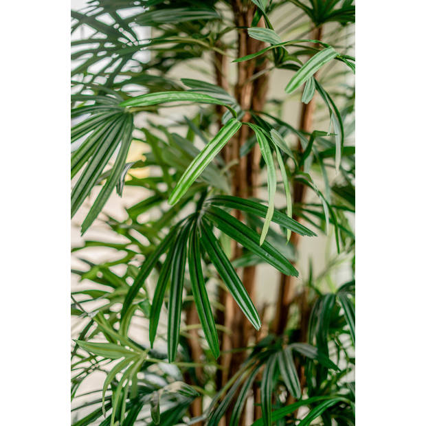 Hoyz Greenery - Lady Kunstpalm 210 cm